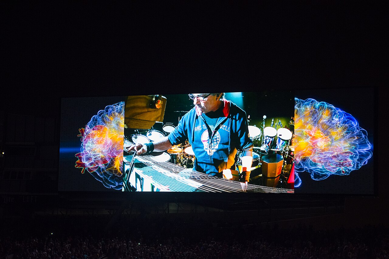 Fare Thee Well, July 3, 2015 - Mickey Hart playing The Beam