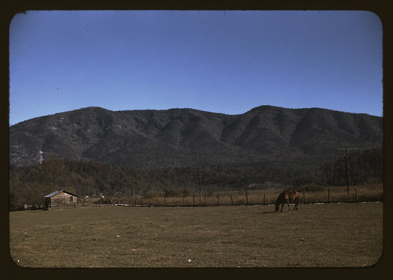 Title: Horse in the pasture of a mountain farm along the Skyline Drive in Virginia
Abstract/medium: 1 slide : color.