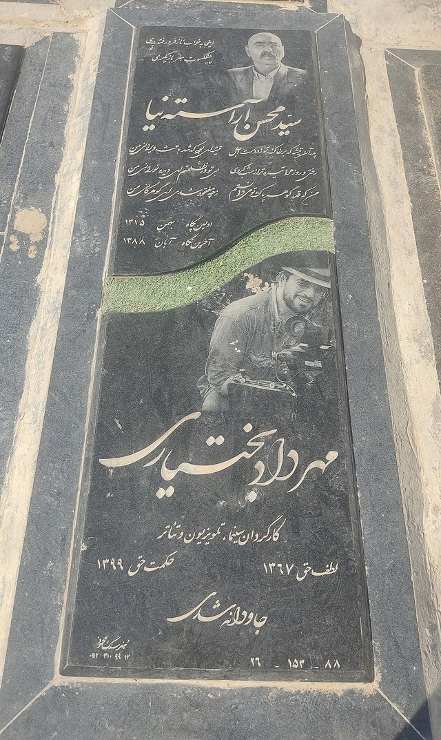 Mehrdad Bakhtiari