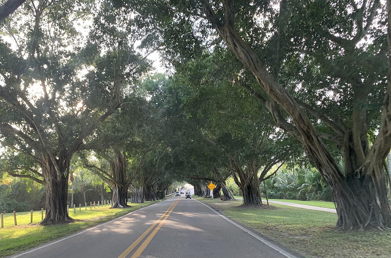 SE Bridge Road on Jupiter Island, approaching the Bridge Road Drawbridge.