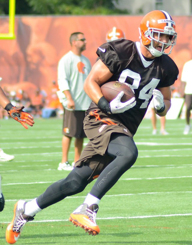 Jordan Cameron